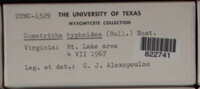 Image Associated With the Occurence